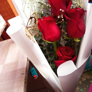 Bouquet de 5 rosas